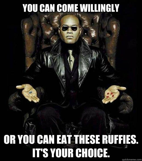 You can come willingly or you can eat these ruffies. 
it's your choice.  Morpheus