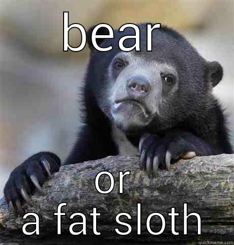 BEAR OR A FAT SLOTH Confession Bear