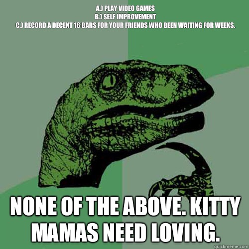 A.) Play video games
B.) Self improvement 
C.) Record a decent 16 bars for your friends who been waiting for weeks.

 None of the above. Kitty mamas need loving.   Philosoraptor