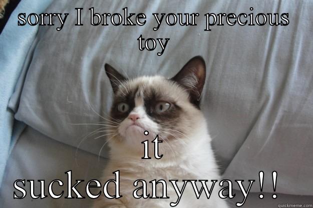 SORRY I BROKE YOUR PRECIOUS TOY IT SUCKED ANYWAY!!  Grumpy Cat