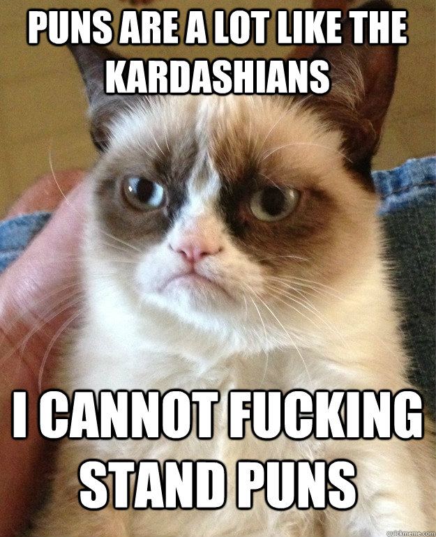 Puns are a lot like the kardashians i cannot fucking stand puns  Grumpy Cat