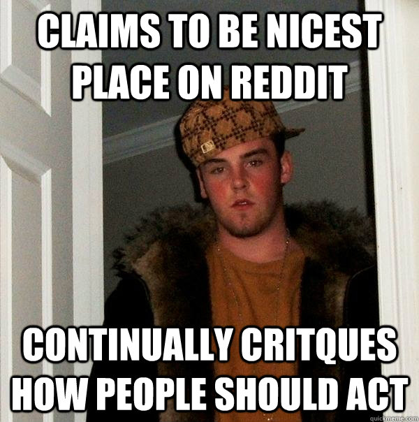 Claims to be nicest place on reddit Continually critques how people should act  Scumbag Steve