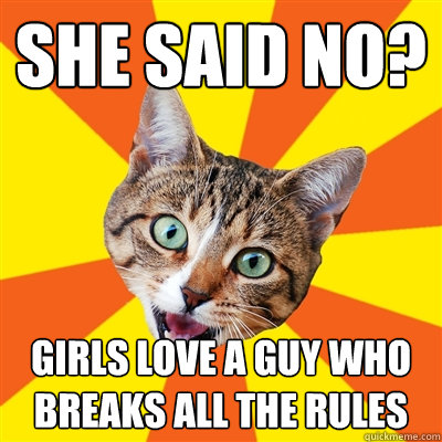 she said no? girls love a guy who breaks all the rules  Bad Advice Cat