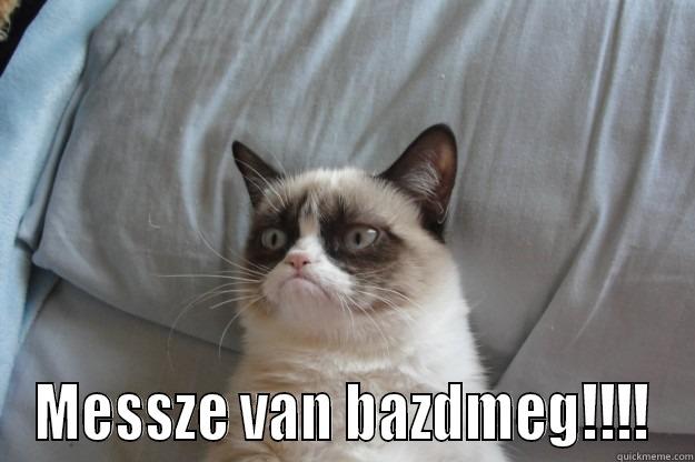  MESSZE VAN BAZDMEG!!!! Grumpy Cat