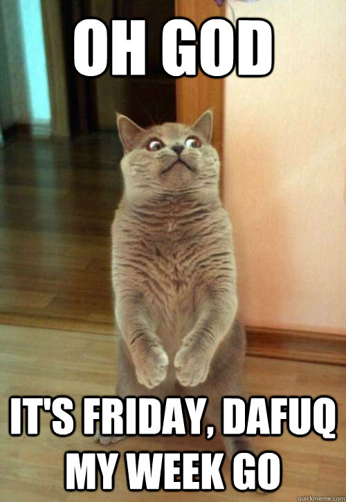 Oh God it's friday, dafuq my week go  Horrorcat