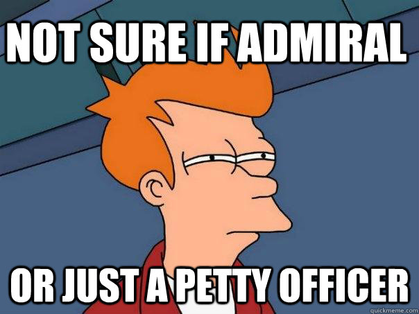 Not sure if Admiral Or Just a petty officer - Not sure if Admiral Or Just a petty officer  Futurama Fry