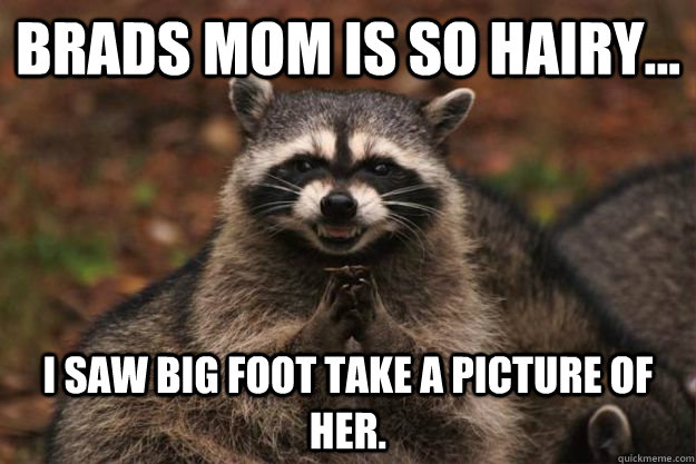 Brads Mom is so hairy... I saw big foot take a picture of her.  - Brads Mom is so hairy... I saw big foot take a picture of her.   Evil Plotting Raccoon