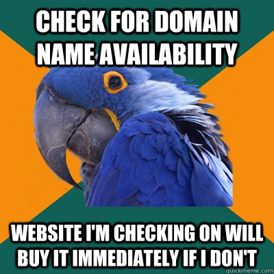 check for domain name availability Website I'm checking on will buy it immediately if I don't - check for domain name availability Website I'm checking on will buy it immediately if I don't  Paranoid Parrot