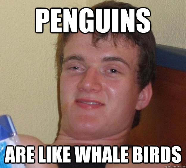 Penguins Are like whale birds  10 Guy