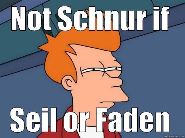 NOT SCHNUR IF SEIL OR FADEN Futurama Fry