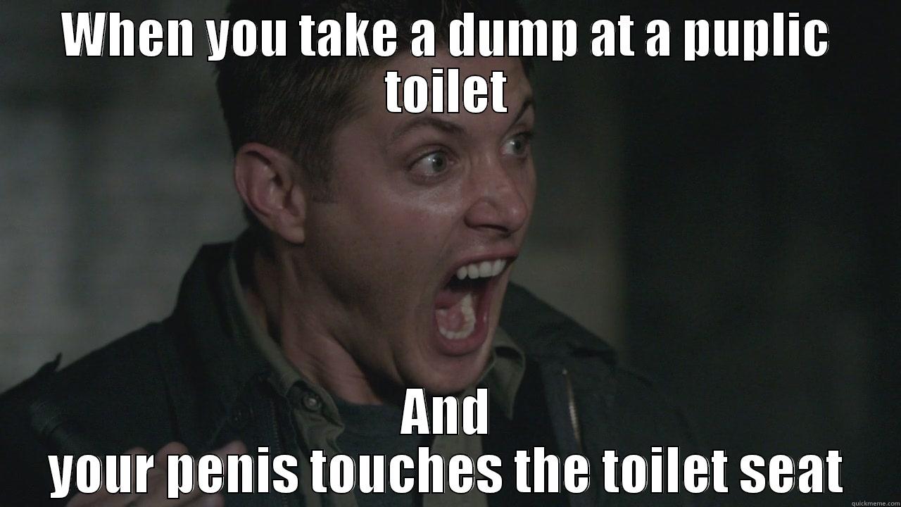 WHEN YOU TAKE A DUMP AT A PUPLIC TOILET AND YOUR PENIS TOUCHES THE TOILET SEAT Misc