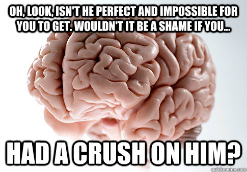 Oh, look, isn't he perfect and impossible for you to get. Wouldn't it be a shame if you...  Had a crush on him?  Scumbag Brain