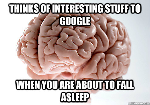 Thinks of interesting stuff to google when you are about to fall asleep  Scumbag Brain