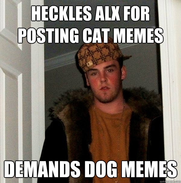 heckles Alx for posting cat memes demands dog memes  Scumbag Steve