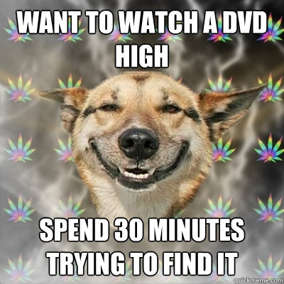 want to watch a dvd high spend 30 minutes trying to find it  Stoner Dog