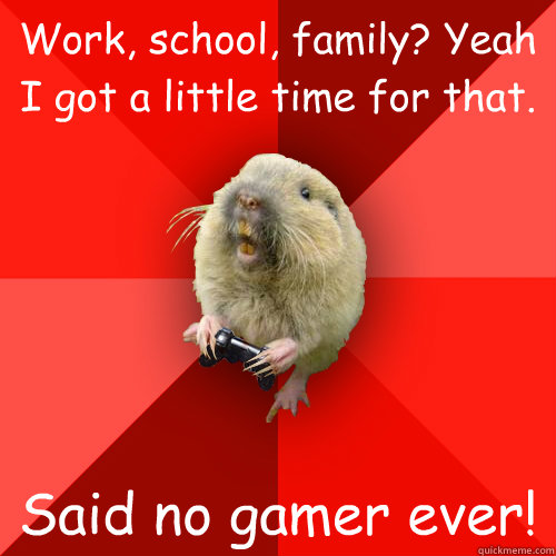 Work, school, family? Yeah I got a little time for that. Said no gamer ever!  Gaming Gopher