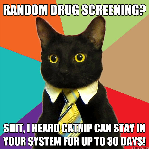 Random drug screening? Shit, I heard catnip can stay in your system for up to 30 days!  Business Cat