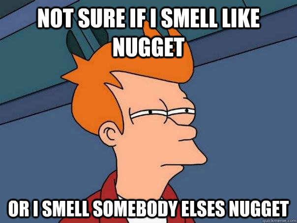 not sure if i smell like nugget or i smell somebody elses nugget  Futurama Fry