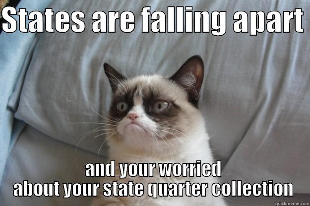 STATES ARE FALLING APART  AND YOUR WORRIED ABOUT YOUR STATE QUARTER COLLECTION Grumpy Cat