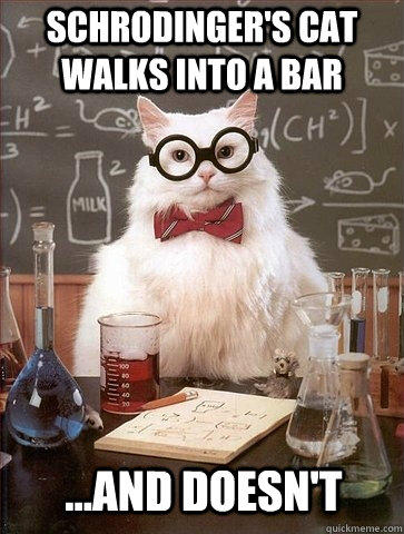 Schrodinger's Cat walks into a bar ...and doesn't  