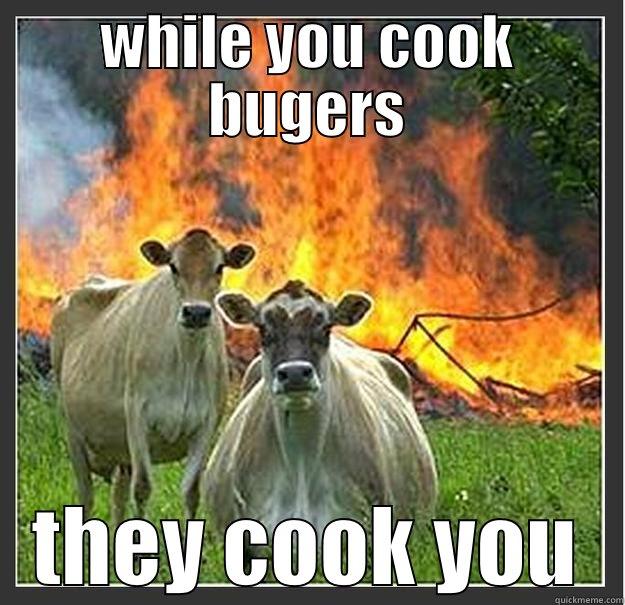 evil cows - WHILE YOU COOK BUGERS THEY COOK YOU Evil cows