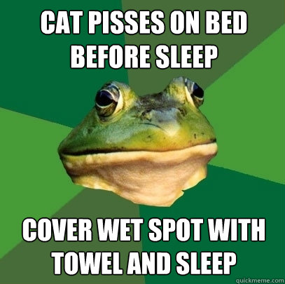 cat pisses on bed before sleep cover wet spot with towel and sleep - cat pisses on bed before sleep cover wet spot with towel and sleep  Foul Bachelor Frog