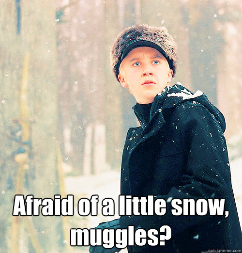  Afraid of a little snow, muggles? -  Afraid of a little snow, muggles?  Winter storm Draco