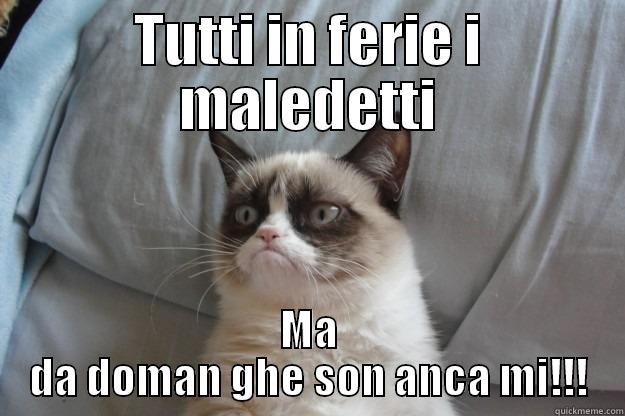 TUTTI IN FERIE I MALEDETTI MA DA DOMAN GHE SON ANCA MI!!! Grumpy Cat