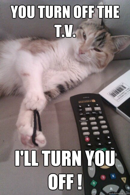 You turn off the T.V. I'll turn you off !  Cat Norris