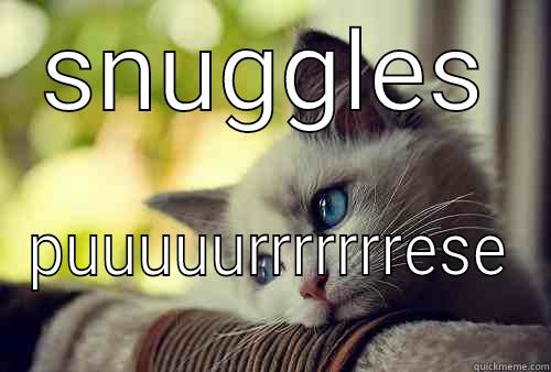 snuggle me - SNUGGLES PUUUUURRRRRRRESE First World Problems Cat