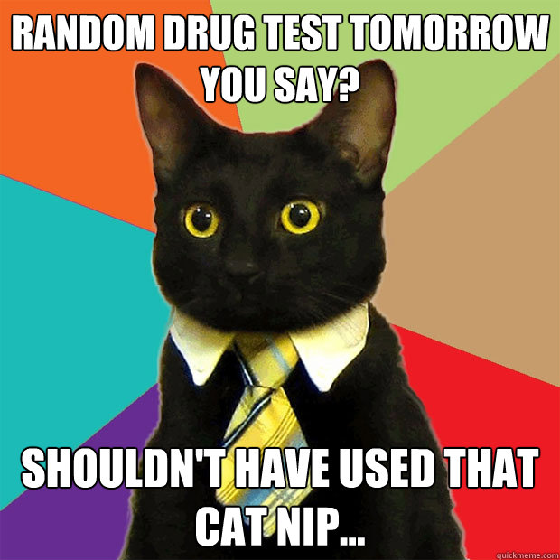 Random drug test tomorrow you say? Shouldn't have used that Cat Nip...  Business Cat