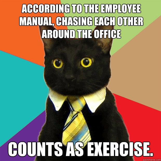 According to the employee manual, chasing each other around the office counts as exercise.  Business Cat