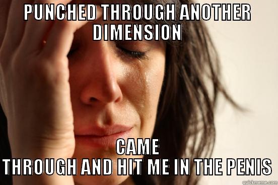 PUNCHED THROUGH ANOTHER DIMENSION CAME THROUGH AND HIT ME IN THE PENIS First World Problems