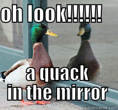 mirror quack - OH LOOK!!!!!!     A QUACK IN THE MIRROR Misc