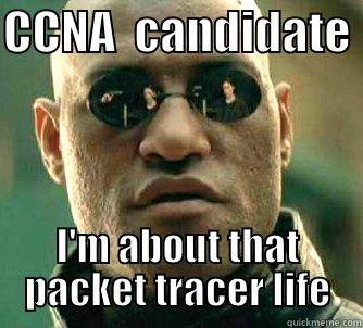 CCNA  CANDIDATE  I'M ABOUT THAT PACKET TRACER LIFE Matrix Morpheus