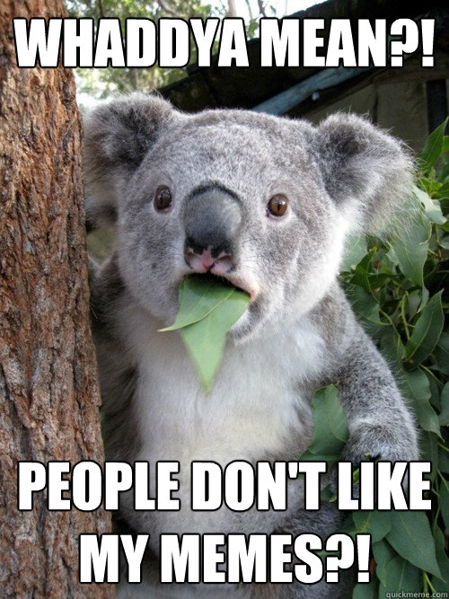 Whaddya mean?! People don't like my memes?!  koala bear