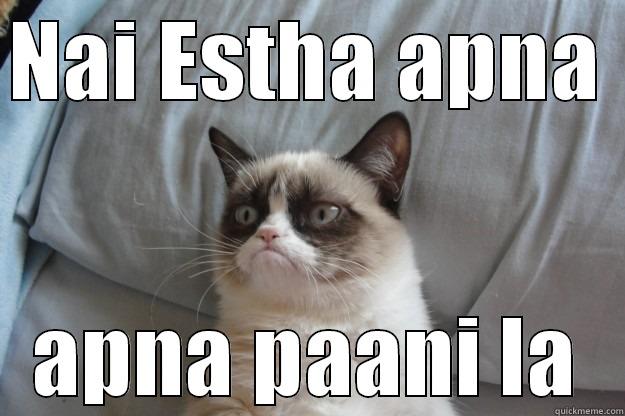 water drinkers - NAI ESTHA APNA  APNA PAANI LA Grumpy Cat