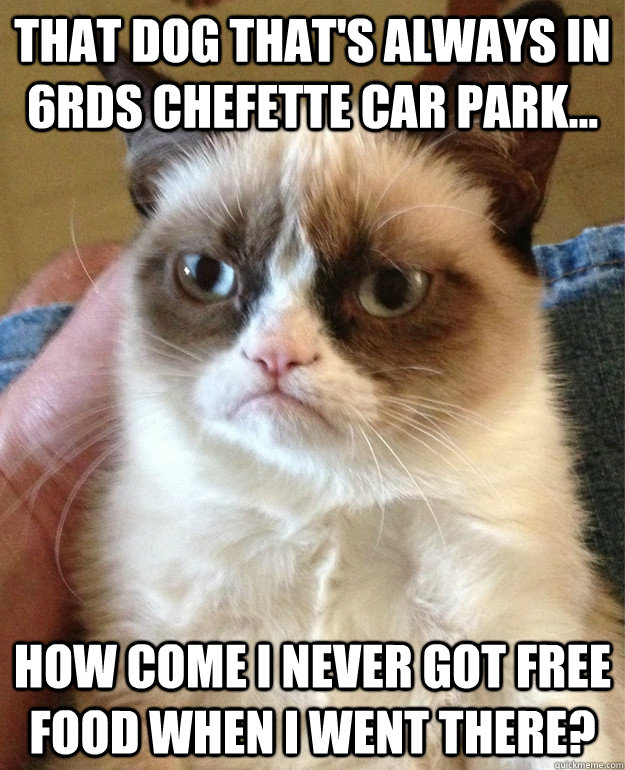 That dog that's always in 6rds chefette car park... how come i never got free food when i went there?  Grumpy Cat