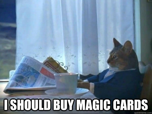  I should buy magic cards  morning realization newspaper cat meme