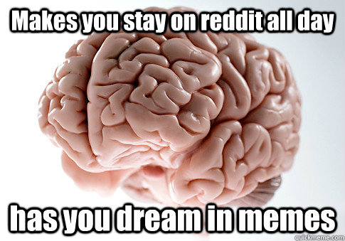 Makes you stay on reddit all day has you dream in memes   Scumbag Brain