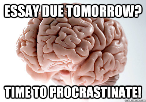 essay due tomorrow? time to procrastinate!  Scumbag Brain