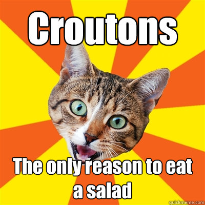 Croutons The only reason to eat a salad  Bad Advice Cat