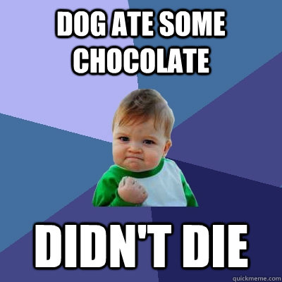 DOG ATE SOME CHOCOLATE DIDN'T DIE  Success Kid