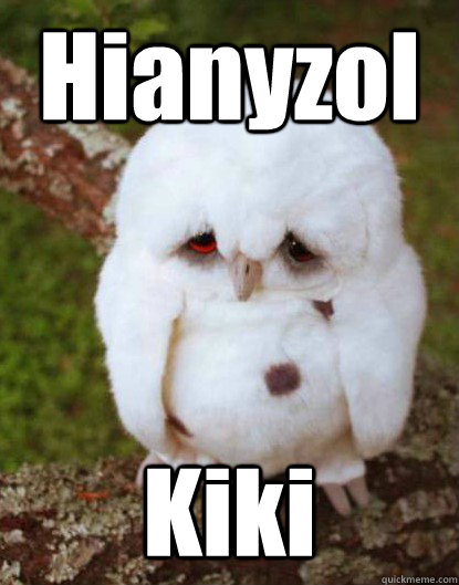 Hianyzol                                                                                                                                       Kiki  Depressed Baby Owl