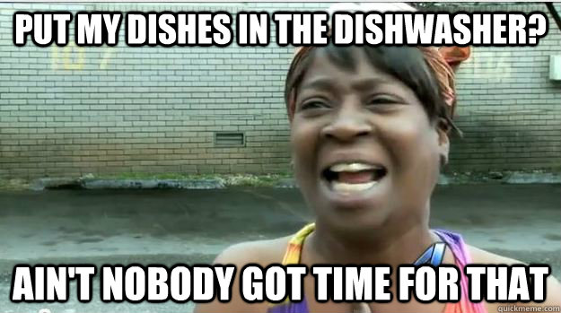 Put my dishes in the dishwasher? AIN'T NOBODY GOT TIME FOR that  AINT NO BODY GOT TIME FOR DAT
