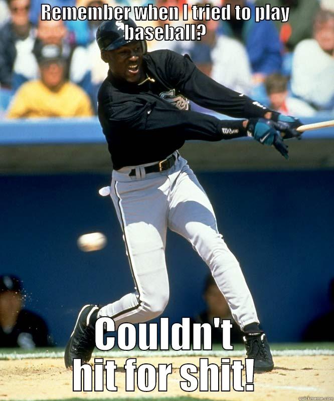 michael jordan - REMEMBER WHEN I TRIED TO PLAY BASEBALL? COULDN'T HIT FOR SHIT! Misc