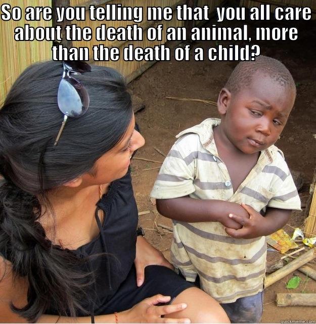 SO ARE YOU TELLING ME THAT  YOU ALL CARE ABOUT THE DEATH OF AN ANIMAL, MORE THAN THE DEATH OF A CHILD?  Skeptical Third World Kid