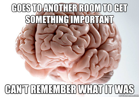 goes to another room to get something important can't remember what it was  Scumbag Brain