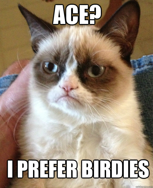 ace? i prefer birdies   Grumpy Cat