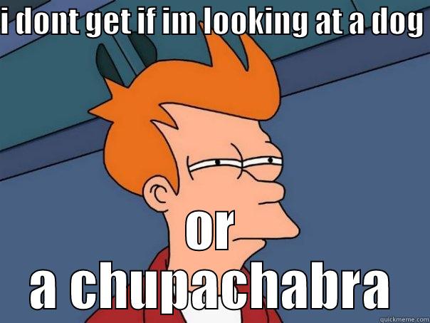 I DONT GET IF IM LOOKING AT A DOG  OR A CHUPACHABRA Futurama Fry